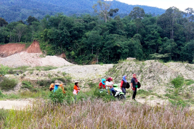 Ibu-ibu pendulang emas akan kembali ke rumah setelah seharian berendam di sungai mencari emas. Foto: Elviza Diana