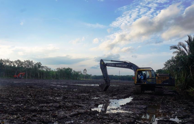 Wilayah ground breaking pabrik barecore PT Nagabhuana Aneka Piranti unit VI, merupakan pertama kolaborasi HTR dengan industri kayu di luar Pulau Jawa. Foto: Lusia Arumingtyas