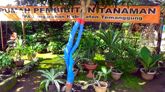 Rumah pembibitan tanaman di TPA Sangrahan. Foto: Nuswantoro