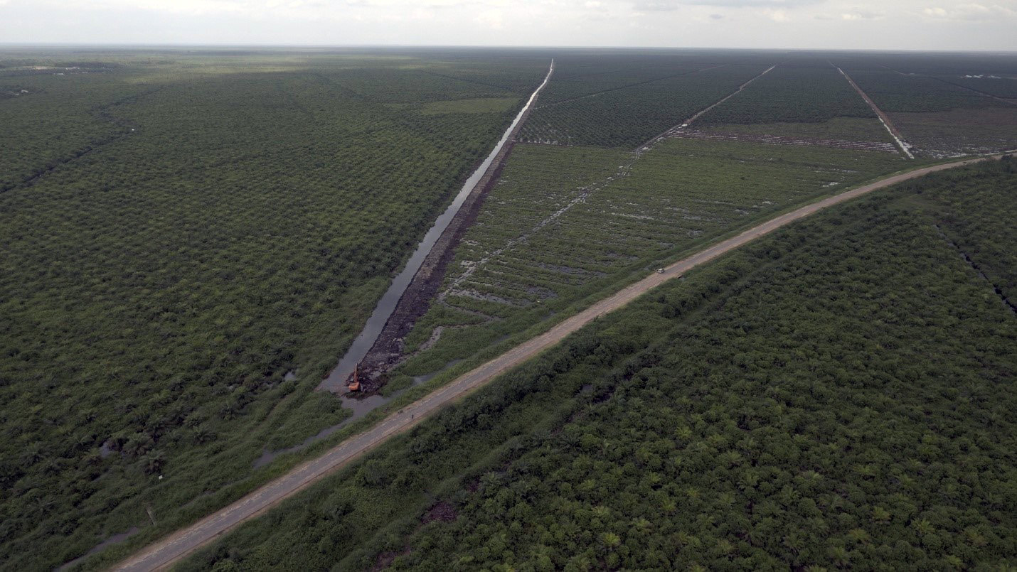 Lahan gambut di Kabupaten Ogan Komering Ilir (OKI), Sumsel, yang menjadi perkebunan sawit. Foto: Faisal-INFIS