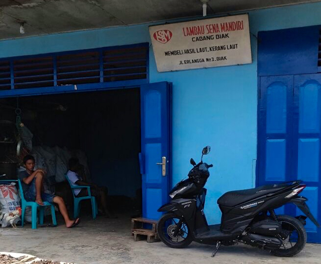 sirip-hiu7-nampak-depan-toko-lambau-sena-mandiri-di-jalan-erlangga-nomor-3-biak-foto_yosep