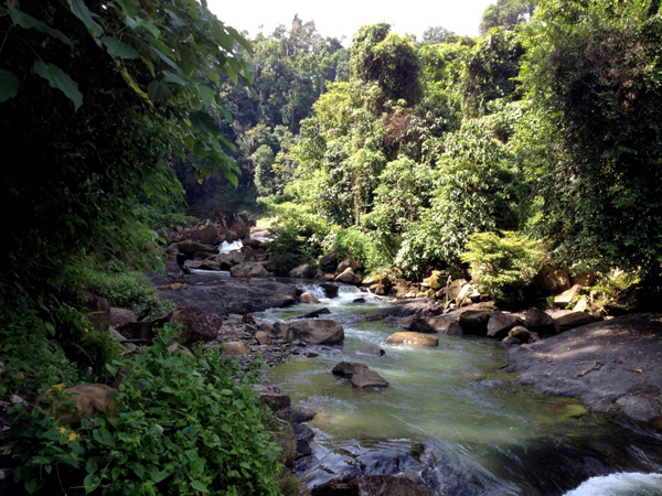 Kondisi Sungai Lim di dekat air terjun Panjang yang dipenuhi batuan andesit berukuran besar. Di hutan sekitar sungai masih ditemukan siamang, monyet ekor panjang, dan rusa. Foto: Taufik Wijaya