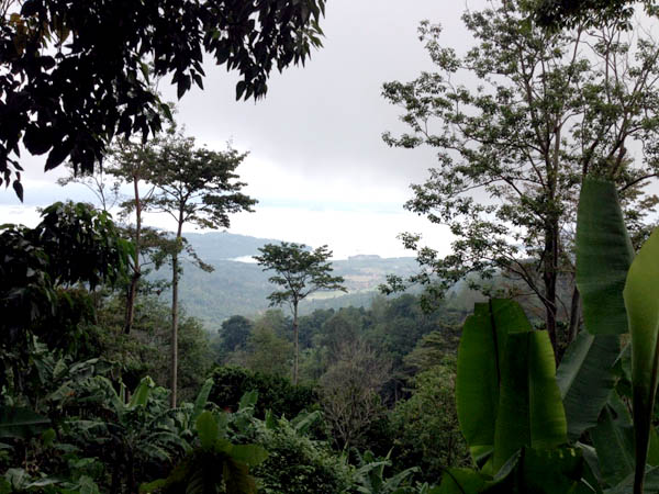 Memandang Teluk Ratai dan Selat Sunda dari puncak Bukit Damar Kaca, Tahura Wan Abdul Rachman. Foto: Taufik Wijaya