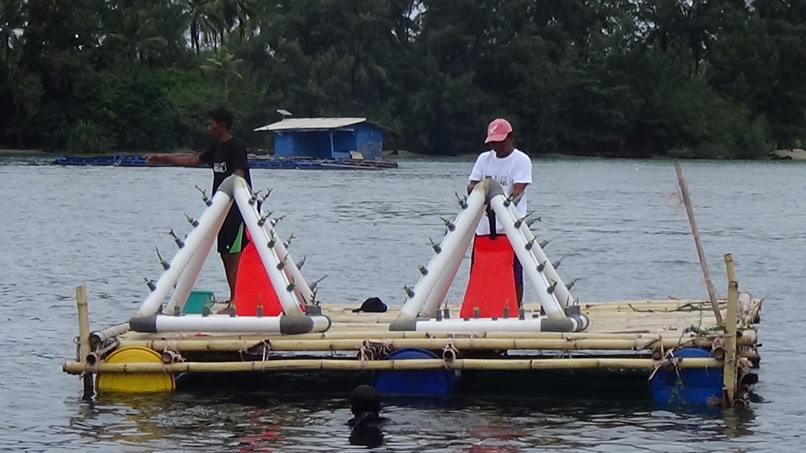 Instalasi terumbu karang buatan yang dipasang di perairan Pulau Sangian, Serang, Banten kerjasama Yayasan Kehati, Yayasan Terangi, BBKSDA Jabar, TNI AL Pos Pulau Sangiang dan pihak swasta. Foto : Yayasan Kehati