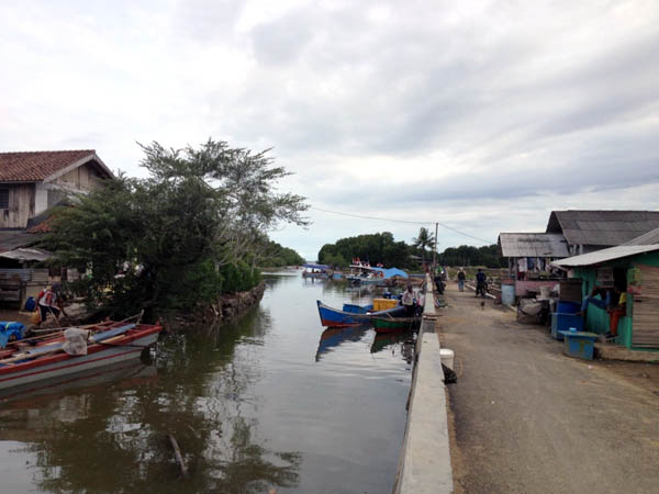 Salah sudut pemukiman warga Desa Gebang. Mangrove yang rusak dinilai sebagai penyebab banyak warga menderita penyakit malaria. Foto: Taufik Wijaya