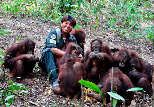 Wiwik Astutik yang gembira merawat orangutan. Foto: BOSF