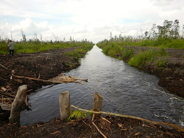 oki-gambut3-15317957_10154713465029144_8305415444805173932_n