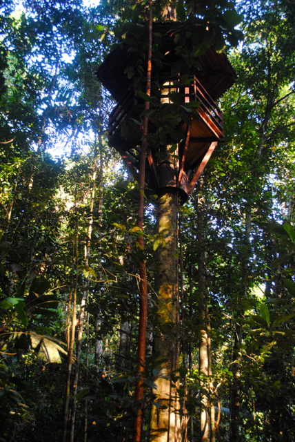 Rumah pohon untuk pengamatan burung. Foto: M Rahmat Ulhaz
