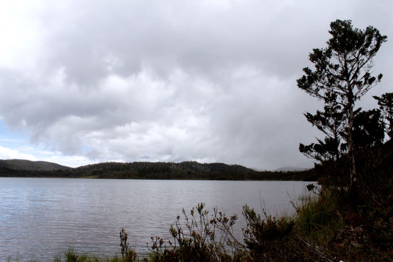 Lansekap Danau Habema, danau tertinggi di Indonesia, yang sering disebut sebagai danau di atas awan. Di seberang danau berdiri gunung Trikora. Foto: Christopel Paino