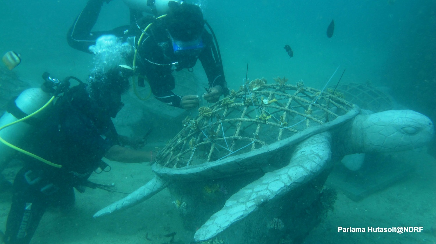 Proses penenggalaman patung penyu raksasa di perairan Pantai Tanjung Benoa, Badung, Bali. Patung penyu yang beratnya mencapai 300 kg ini diharapkan menjadi ikon wisata Tanjung Benoa sekaligus rumah terumbu karang. Foto : Pariama Hutasoit/NDRF