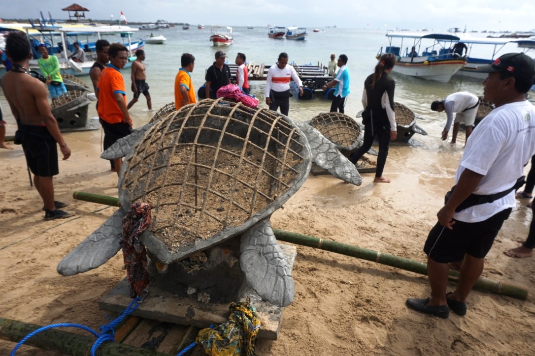 Proses penenggalaman patung penyu raksasa di perairan Pantai Tanjung Benoa, Badung, Bali. Patung penyu yang beratnya mencapai 300 kg ini diharapkan menjadi ikon wisata Tanjung Benoa sekaligus rumah terumbu karang. Foto : Anton Muhajir