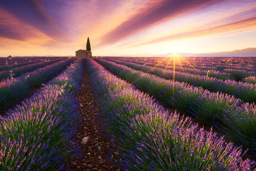 Indahnya mentari pagi di Provence, Prancis. Foto: Julien Grondin