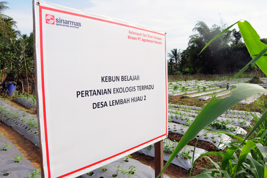 Kebun belajar pertanian ekologis terpadu. Foto: Putri Hadrian