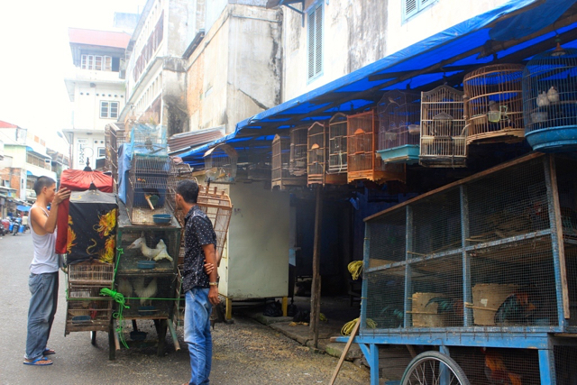 Burung-burung yang dijual di pasar burung di Jambi, sebagian dari alam. Foto: Yitno Suprapto