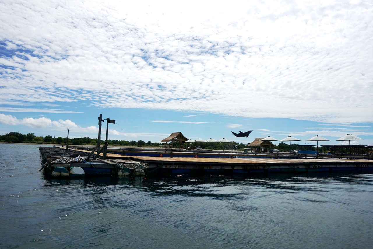 Seekor lumba-lumba yang dikelola dalam keramba apung Dolphin Lodge ini melompat-lompat. Tak ada aktivitas atraksi dan wisata saat penyegelan di Dolphin Lodge yang berada di pesisir pulau Serangan, Denpasar, Bali pasca penyegelan oleh warga Desa Pakraman (adat) Serang pada Rabu (18/01/2017). Foto : Anton Muhajir