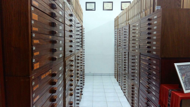 Lemari tempat menyimpan kupu-kupu kolesi laboratorium. Foto: Asrida Elisabeth