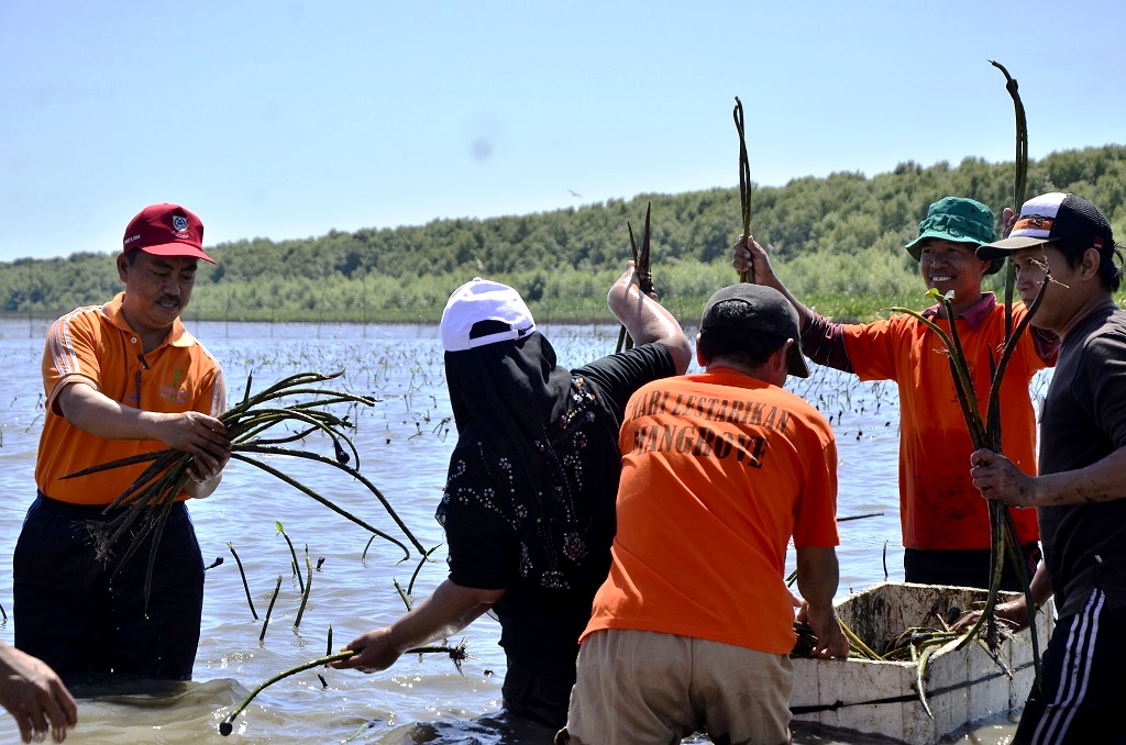 Abdul Rahman Bando (paling kiri), sebagai Kepala Dinas Perikanan dan Pertanian Kota Makassar dan peneliti melihat potensi mangrove sebagai upaya mitigasi bencana di kawasan pesisir. Ia juga melihat mangrove bisa menjadi solusi dalam penambahan Ruang Terbuka Hijau (RTH) Makassar yang masih jauh dari ideal. Foto: Wahyu Chandra