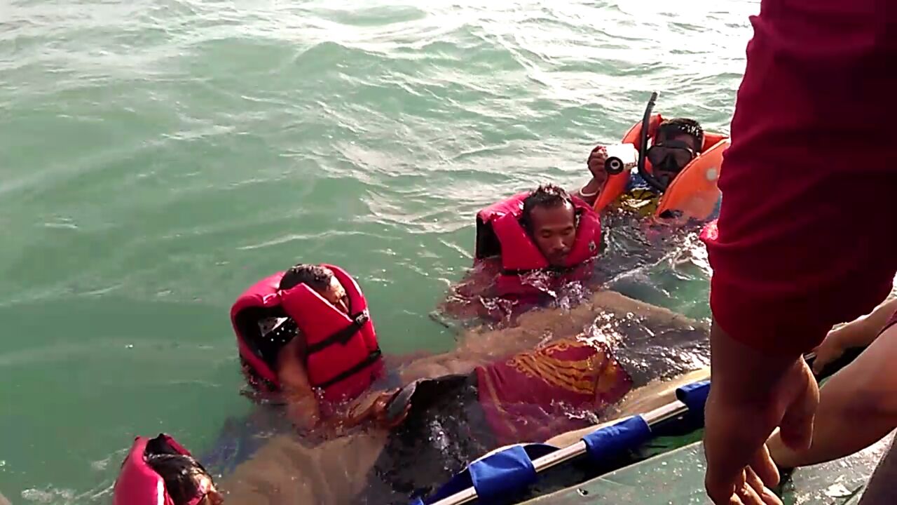 Proses pelepasan seekor paus kepala melon (melon headed whale) yang terdampar di pesisir pantai Cibungur, Panimbang, Kabupaten Pandeglang, Banten pada Rabu (11/02/2017). Tim PSPL Serang dibantu polisi Polairud Panimbang dan nelayan setempat berhasil melepaskan kembali paus itu ke lautan. Foto : Loka PSPL KKP Serang