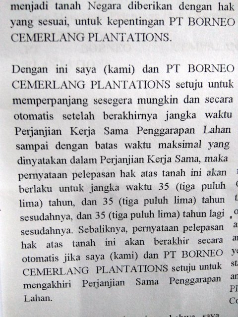 Penggalan bunyi surat kesepakatan penyerahan lahan warga kepada perusahaan sawit, yang kalau dihitung total 100 tahun lebih!