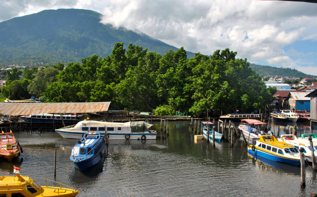 Kondisi Mangrove Mangga Dua yang makin terjepit oleh aktivitas warga dan pemukiman. Foto: M Rahmat Ulhaz