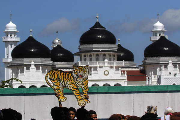 Penyelamatan satwa di Aceh harus dilakukan. Mengingat, perburuan gajah, harimau, dan orangutan sumatera belum berhenti. Foto: Junaidi Hanafiah