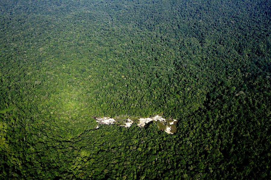 Ayollarni kaltaklash porno