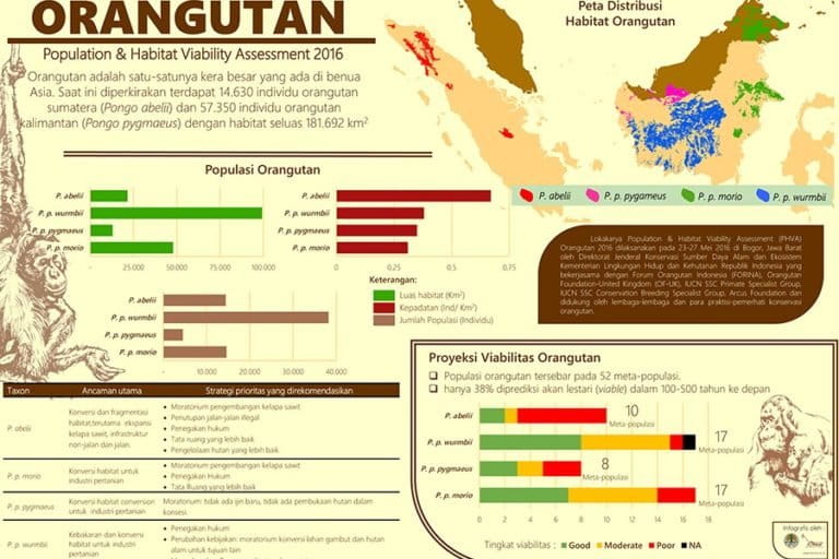 PHVA Orangutan 2016. Sumber: FORINA