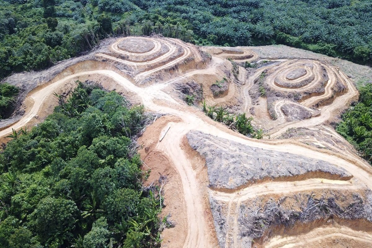 Masyarakat adat di Sorong Selatan, yang berkonflik dengan perusahaan sawit. Foto: Pemuda Mahasiswa Iwaro/Mongabay Indonesia