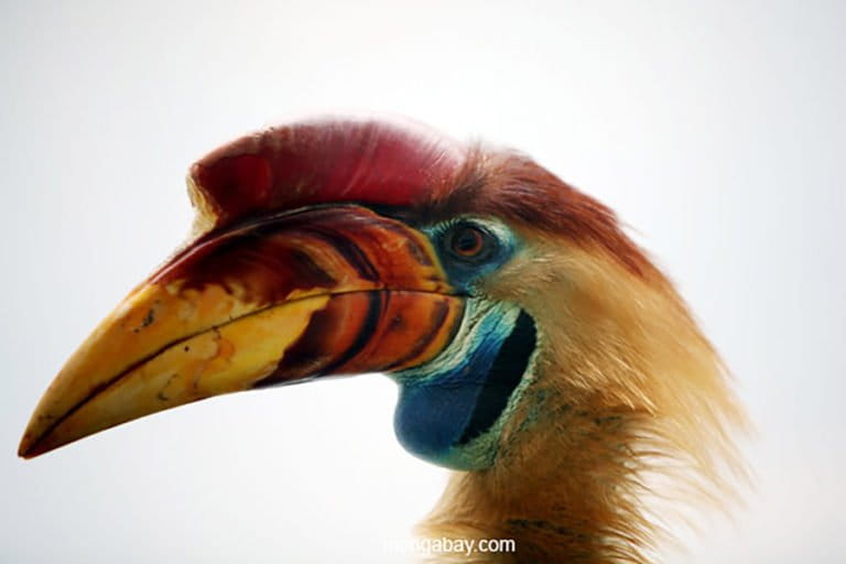 Yashirin kamera hojatxonadagi yigitlarga josuslik qilmoqda