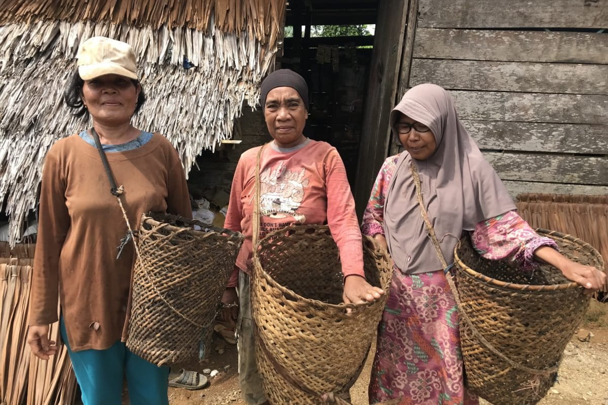 Ratna, Nurbaya dan Nur Halima, bersiap menuju kebun mete milik warga setempat untuk memungut biji mete. Pulau Wawonii ini terancam dengan banyak izin tambang. Hidup warga terlebih perempuan bakal menderita kala ruang hidup mereka hilang jadi tambang. Foto: Kamarudin/ Mongabay Indonesia