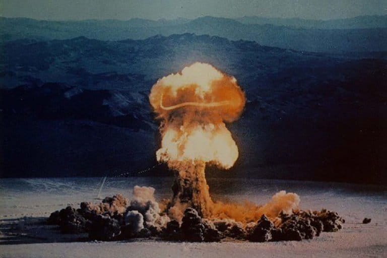 Bahkan, tardigrada bisa bertahan dari radiasi nuklir