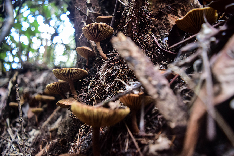 Katta eshak bilan porno Oriq yigitlarning fotosuratlari