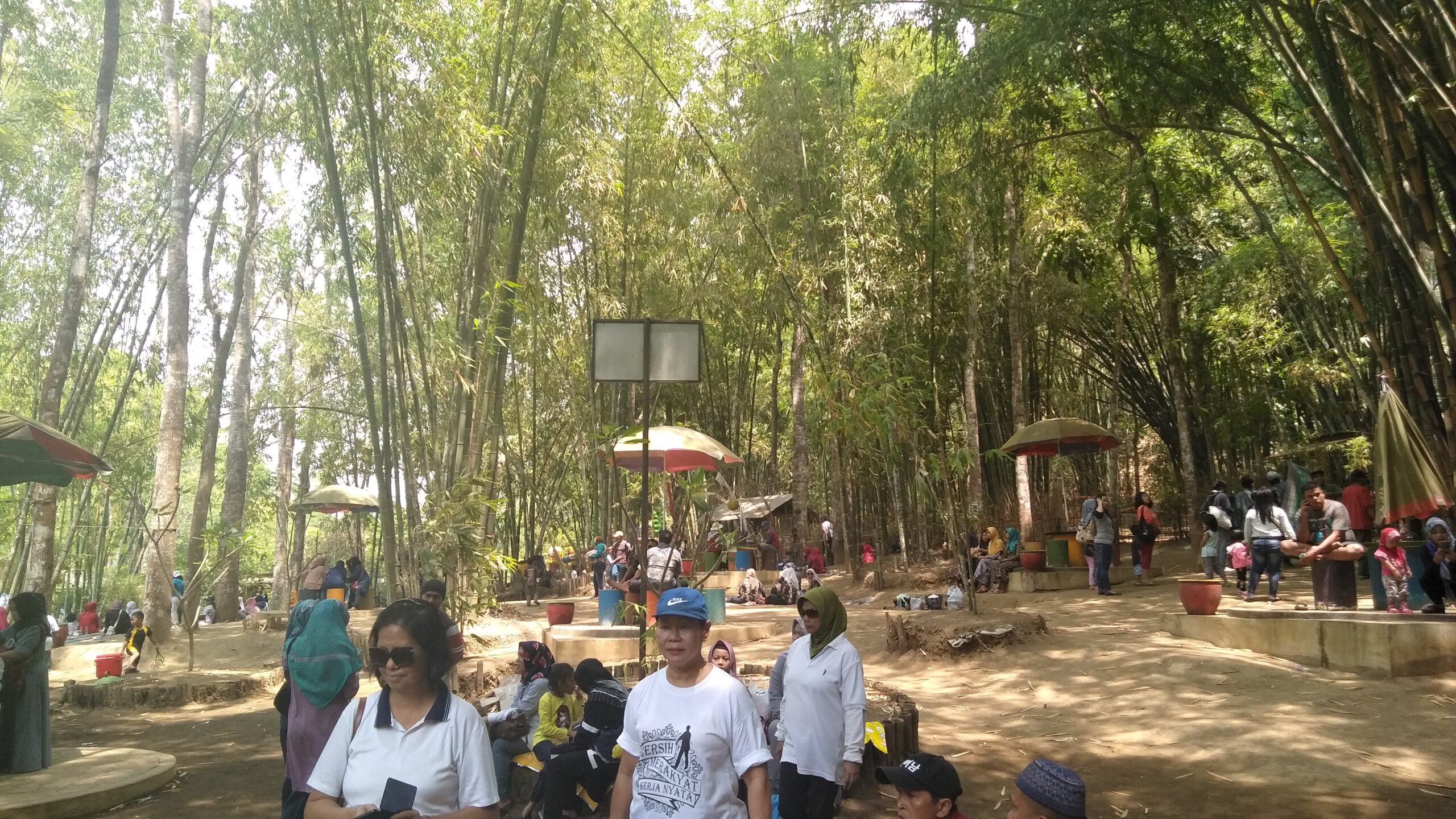 Pengunjung berteduh di antara rumpun bambu di kawasan arboretum Boonpring. Foto: Eko Widianto/ Mongabay Indonesia