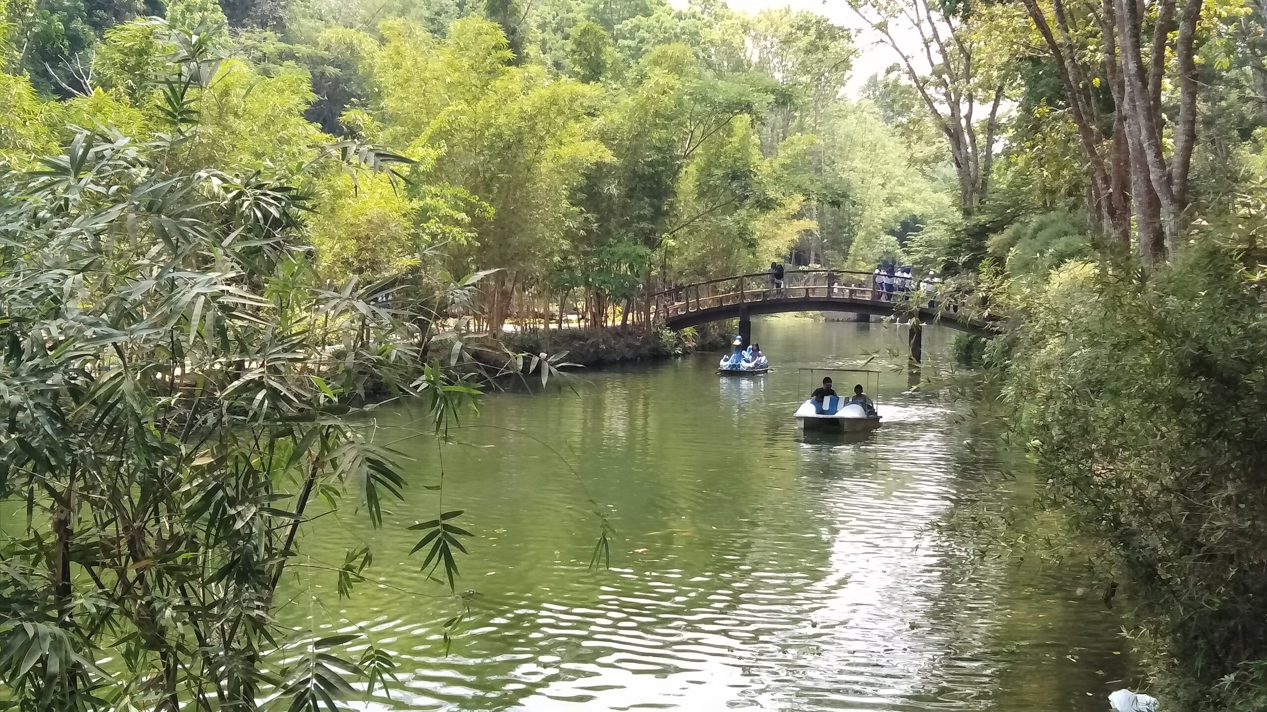 Pengunjung mengendarai mengayuh mainan kendaraan air di danau buatan Boonpring, Sumber Andeman. Foto: Eko Widianto/ Mongabay Indonesia