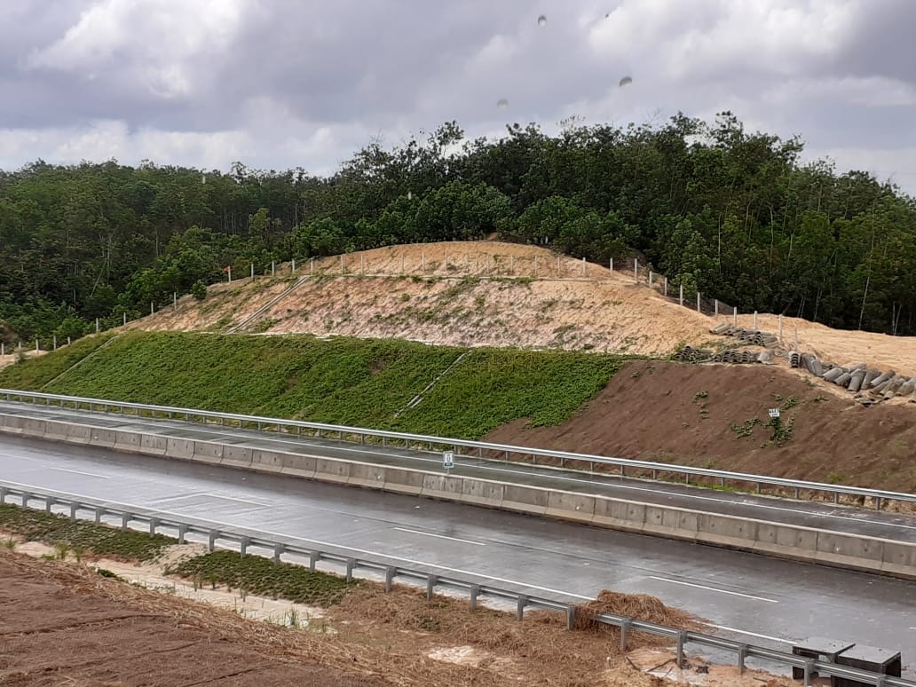  Pada 16 Februari lalu tersebar foto harimau harimau tampak manaiki tebing di Tol Pekanbaru-Dumai, seksi IIC. Foto: Suryadi