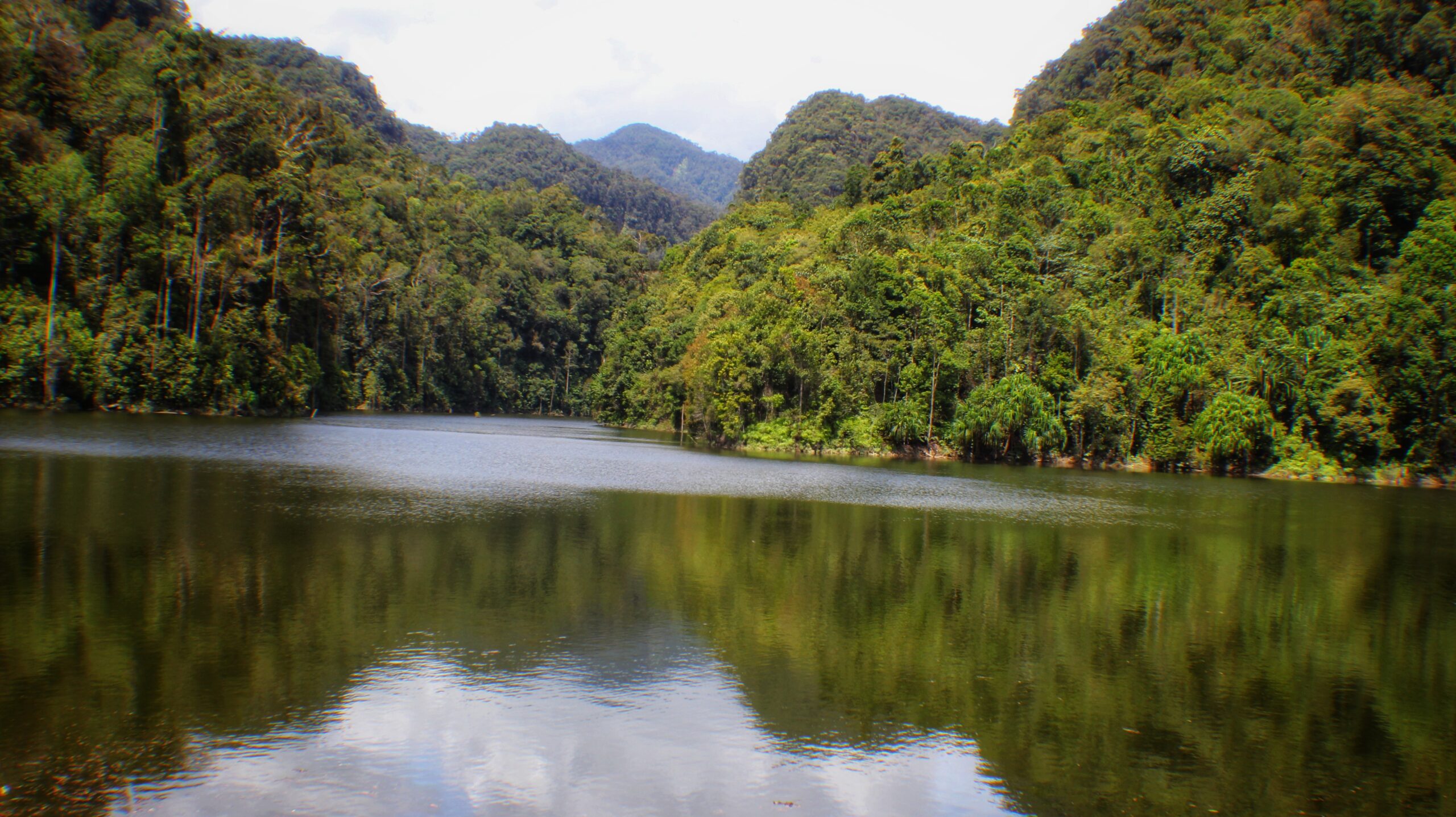 Ekosistem Batangtoru, kaya keragaman hayati. Foto: Ayat S Karokaro/ Mongabay Indonesia