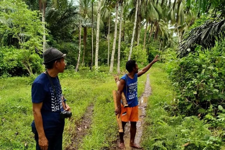 Tumbuhan enau atau aren yang dirawat Fadli, di sekitar kebun dan hutan kampungnya. Foto: Mahmud Ichi/ Mongabay Indonesia