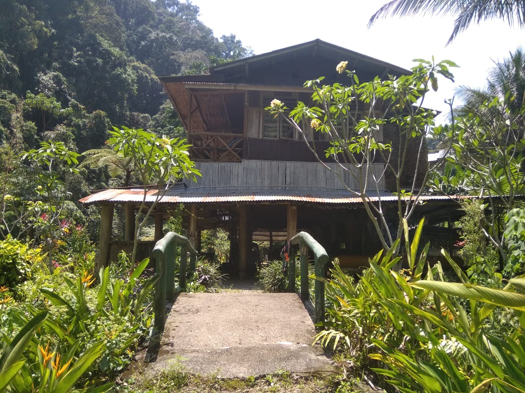 Penginapan di Ekowisata Bukit Lawang, sepi tamu. Foto: Barita News L/ Mongabay Indonesia