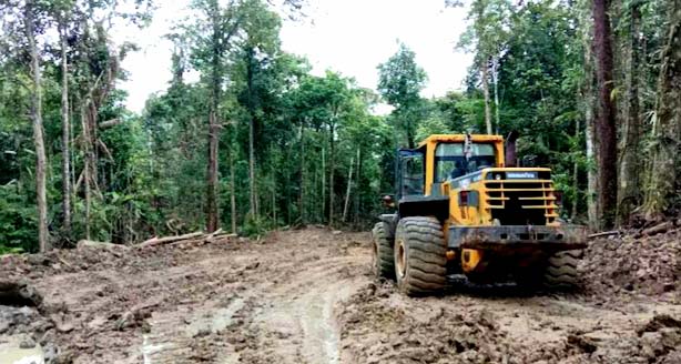 Alat berat milik CB SBM yang kini diamankan Balai Gakkum Wilayah Maluku Papua. Foto: Gakkum KLHK