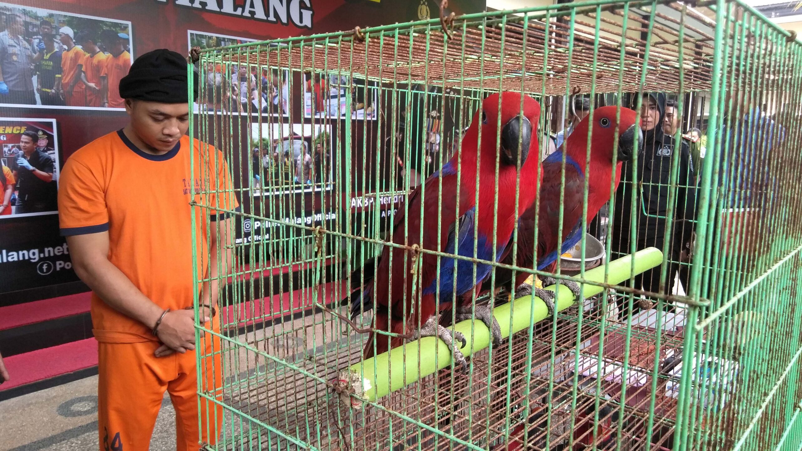 Agus, yang diamankan polisi. Foto: EKo Widianto/ Mongabay Indonesia