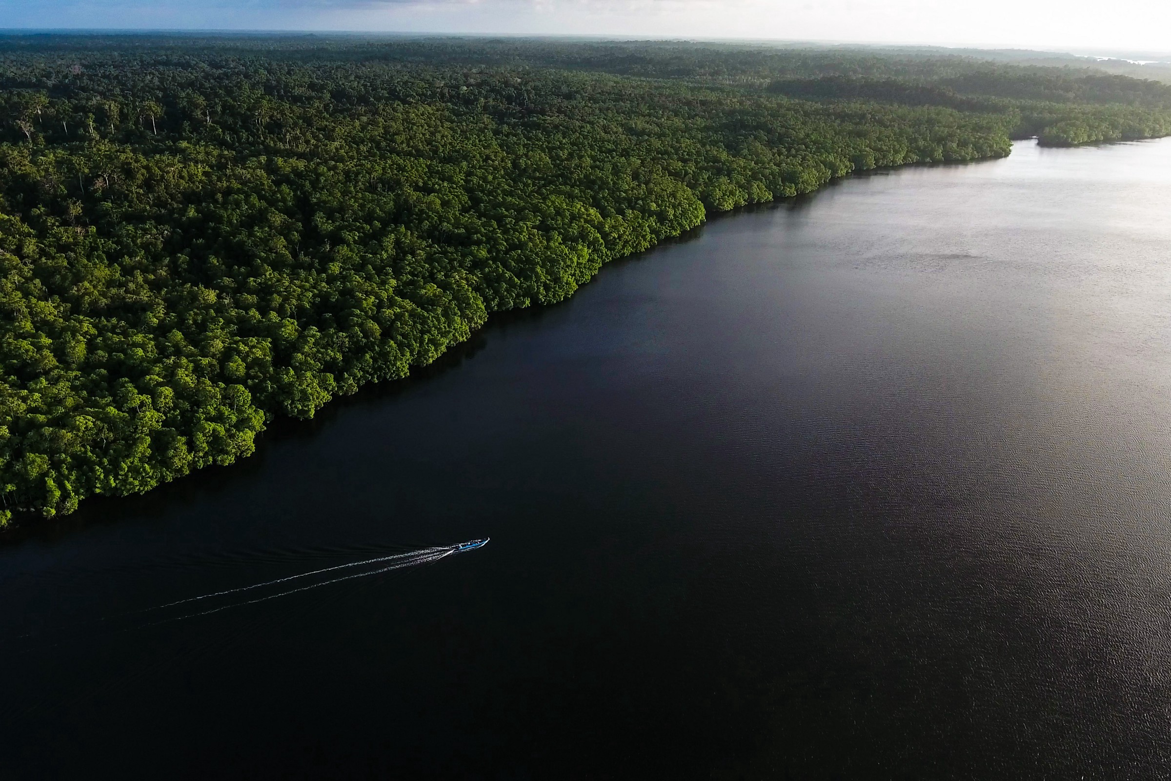 Perahu motor di Aru. Foto oleh Forest Watch Indonesia.