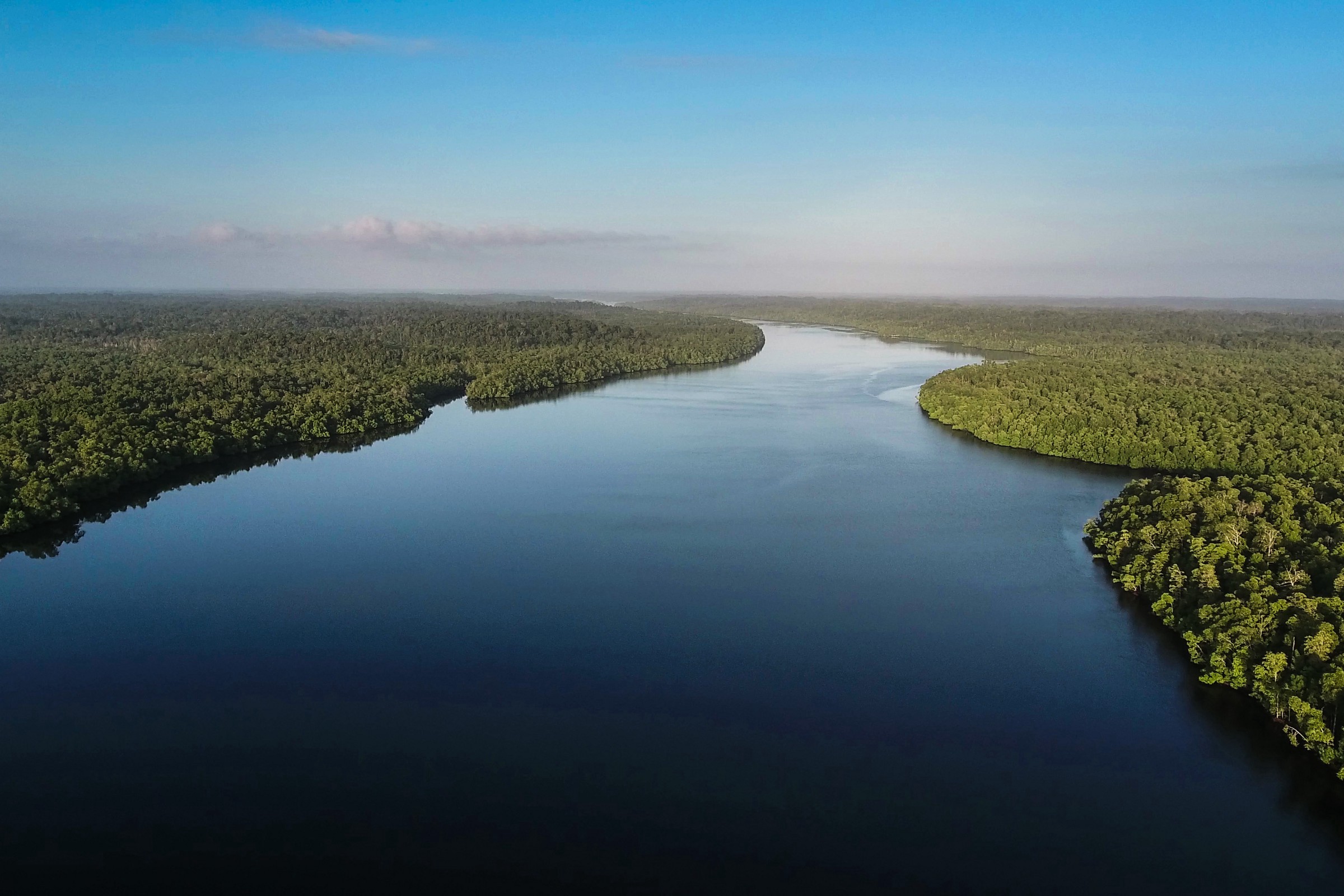 Tanpa hutan mangrove, — sebagian besar masuk ke dalam kawasan konsesi milik Menara Group — maka kawasan pesisir maupun pantai Aru akan sirnah. Foto oleh Forest Watch Indonesia.