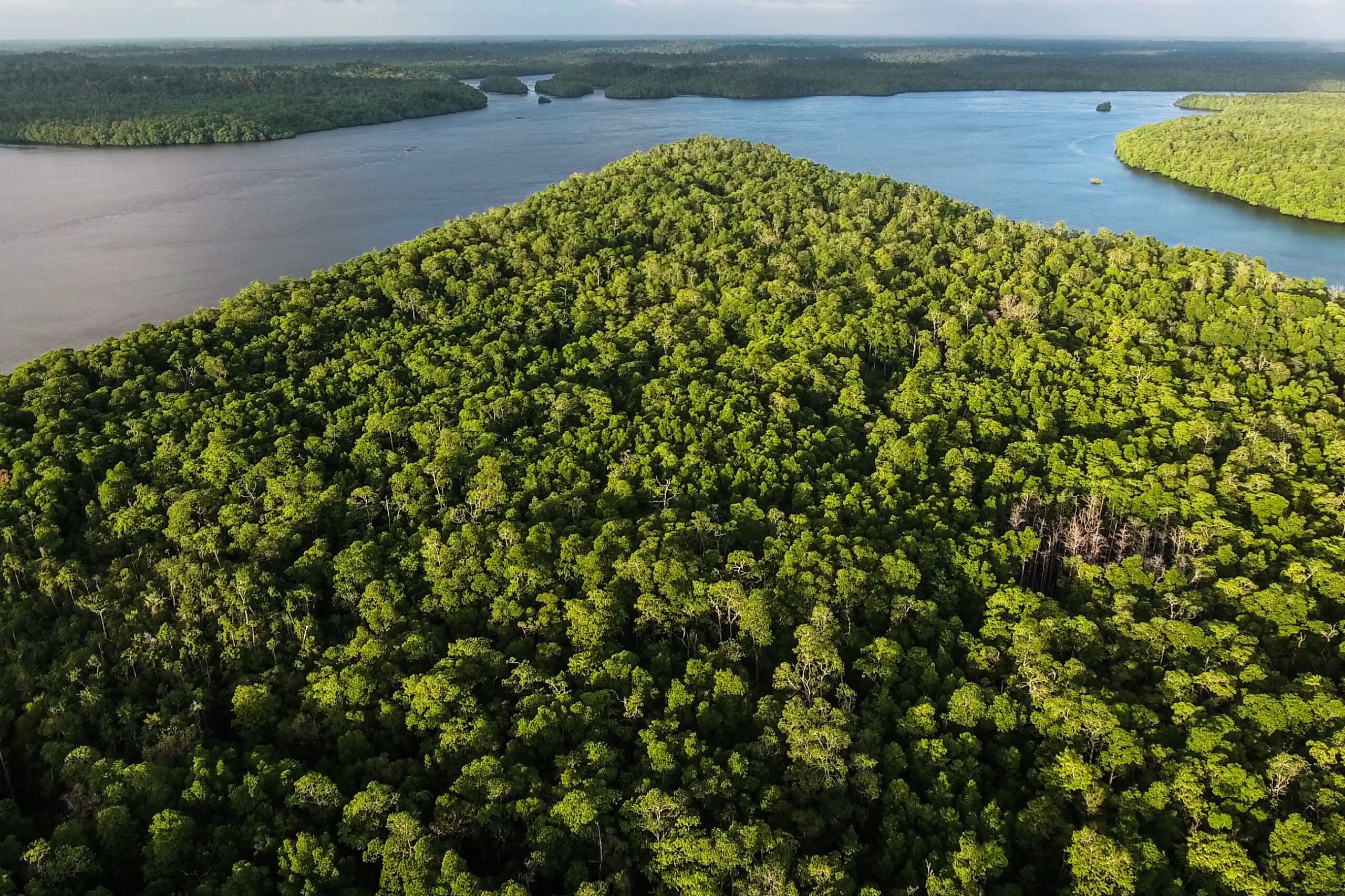 Kepulauan Aru yang terdiri dari pulau-pulau yang saling berhimpitan dan terbentang dari timur ke barat oleh tiga aliran utama yang terhubung dengan laut. Foto oleh Forest Watch Indonesia.