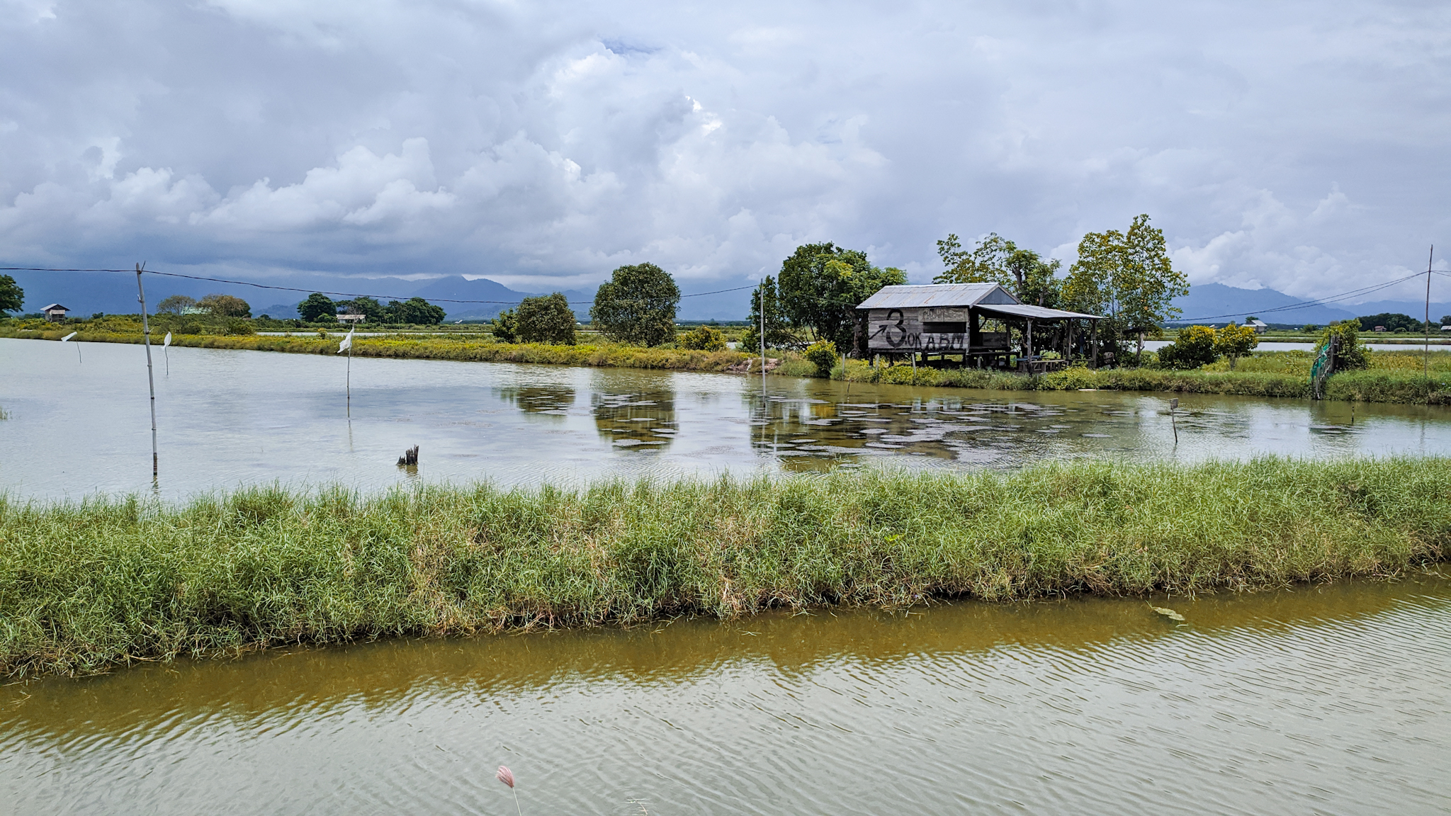 Tambak di Mempie. Foto: Agus Mawan/ Mongabay Indonesia