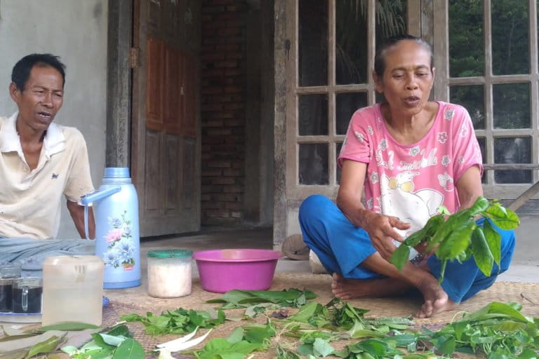 Nyang Nok, pembuat ramuan tradisional dari beragam jenis daun dan akar-akaran dari hutan dan kebun di Muaro Jambi. Ramuan ini untuk beragam macam penyakit, termasuk untuk meningkatkan daya tahan tubuh terhadap beragam penyakit. Foto: Elviza Diana/ Mongabay Indonesia