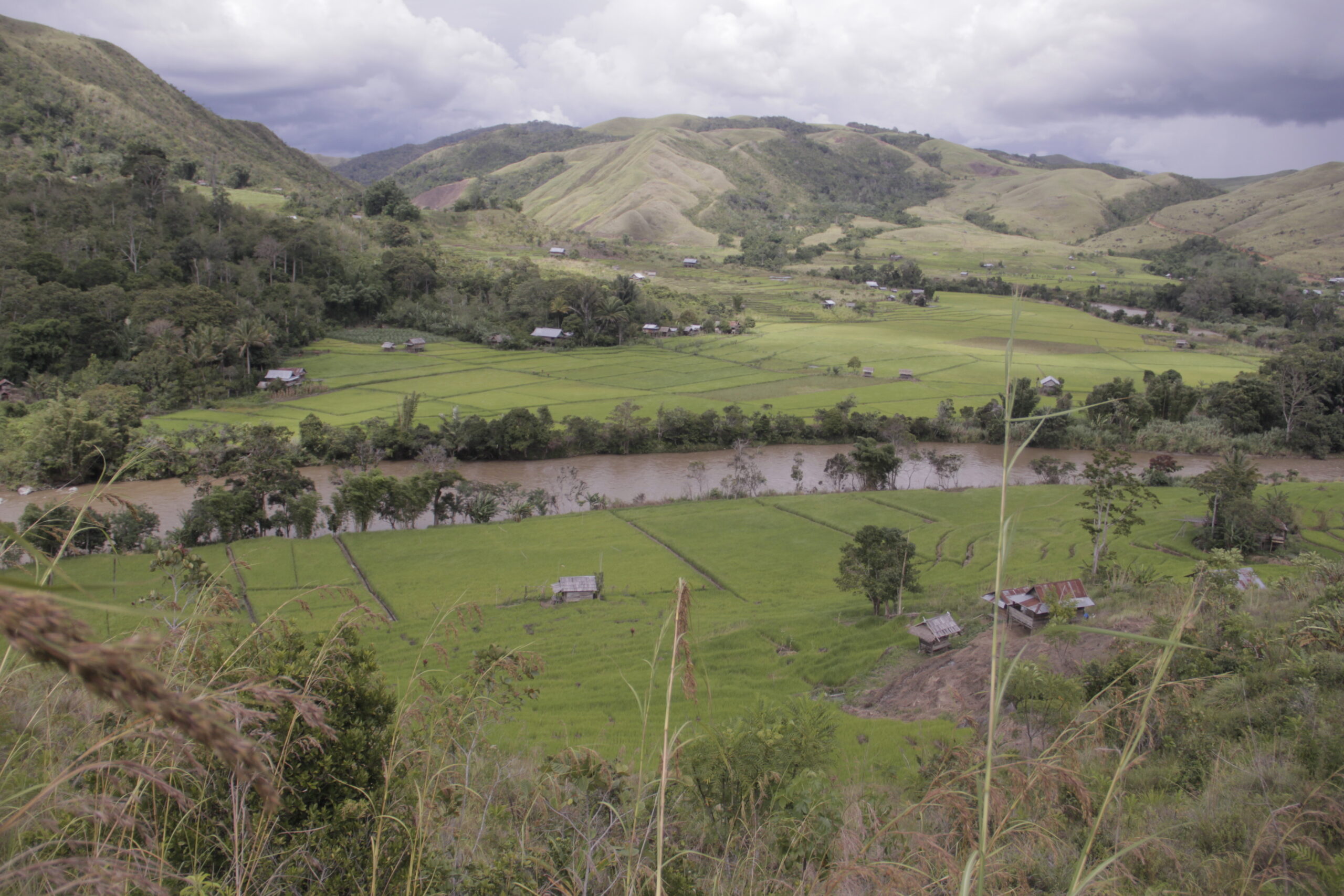 Aliran sungai di Sae, yang mau dijadikan sumber air PLTA. Foto: Eko Rusdianto/ Mongabay Indonesia
