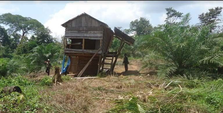Pondok warga yang rusak oleh gajah di Sepintun. Foto: Marhoni