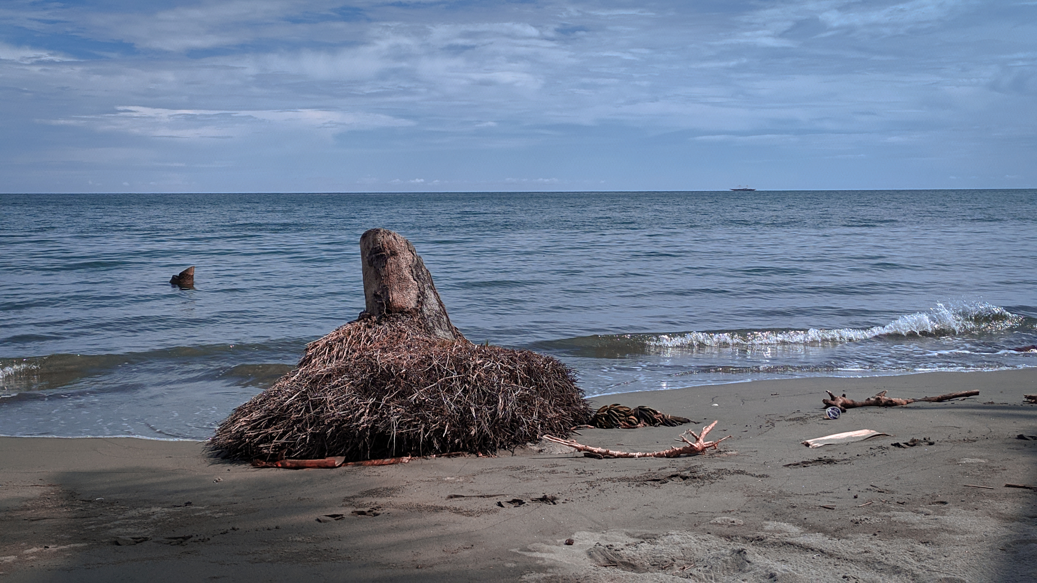 Abrasi menggila di Kampung Mampie, hingga warga terpaksa pindah.Foto: Agus Mawan/ Mongabay Indonesia 
