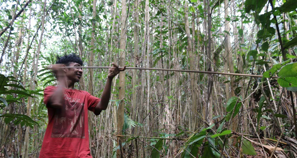 Alat berburu masyarakat Batin Sembilan. Foto: Elviza Diana/ Mongabay Indonesia