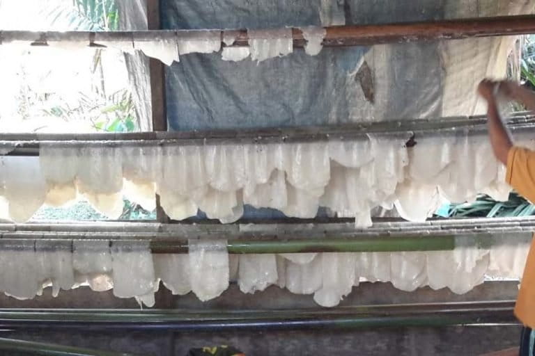 Penjemuran lembaran sagu dalam proses pembuatan mie rumbia di Bengkel Kerja milik Abdul Manan. Foto: dari website Pesantren Ekologi Ath-Taariq